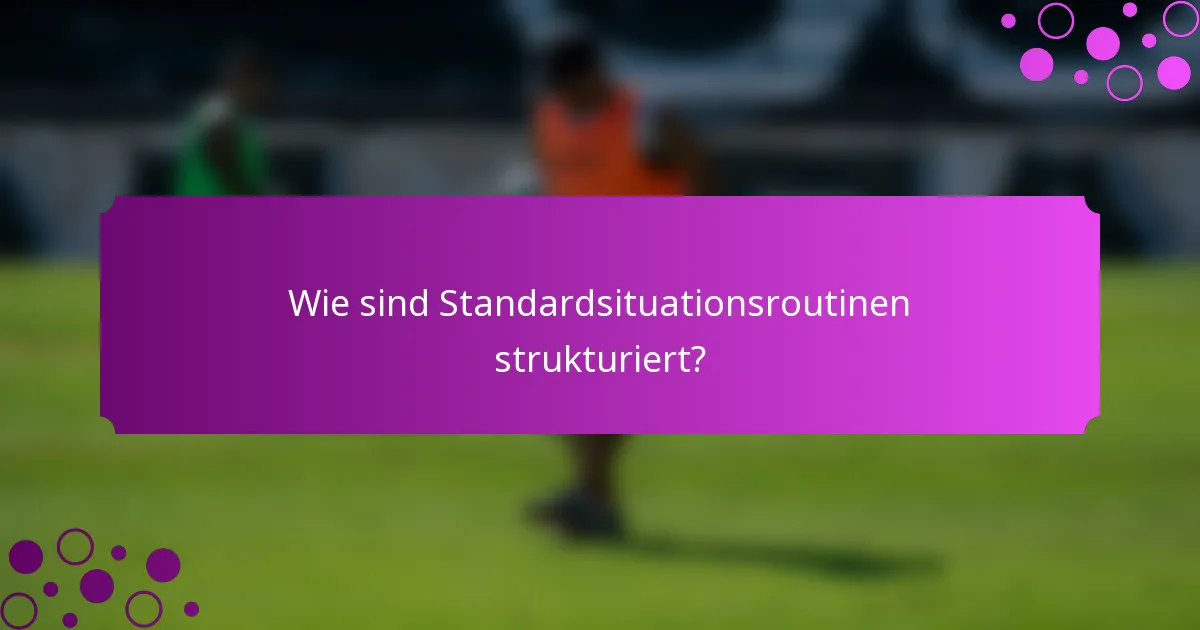Wie sind Standardsituationsroutinen strukturiert?